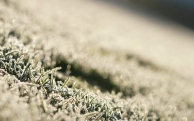 Profis. Fanshops. Geschäftsstelle – Das ist der (aktualisierte) Winterfahrplan der Preußen