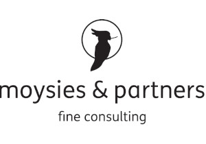 moysies & partners GmbH