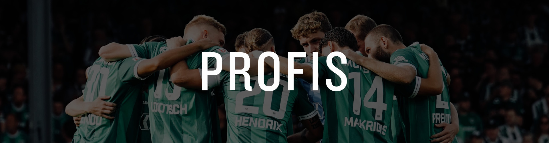 header_PROFIS