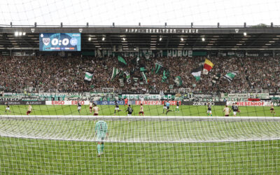 Faninformationen zum Heimspiel gegen Havelse  